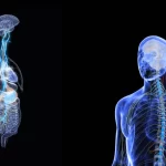 The Best Way to Stimulate the Vagus Nerve: What Science Really Says